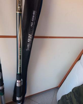 canne da pesca surf casting