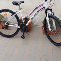 Bici Sbk