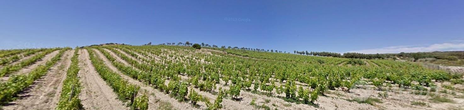 Terreno Azienda Agricola Sorso - Vista 4
