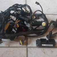 DUCATI ST 4 ST 4S centraline e cablaggi