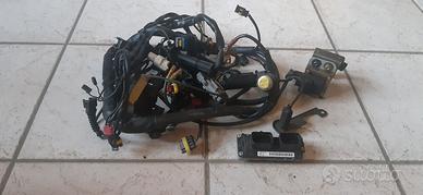 DUCATI ST 4 ST 4S centraline e cablaggi