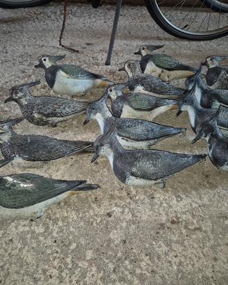 Stampi pavoncelle
