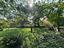 Immagine 26