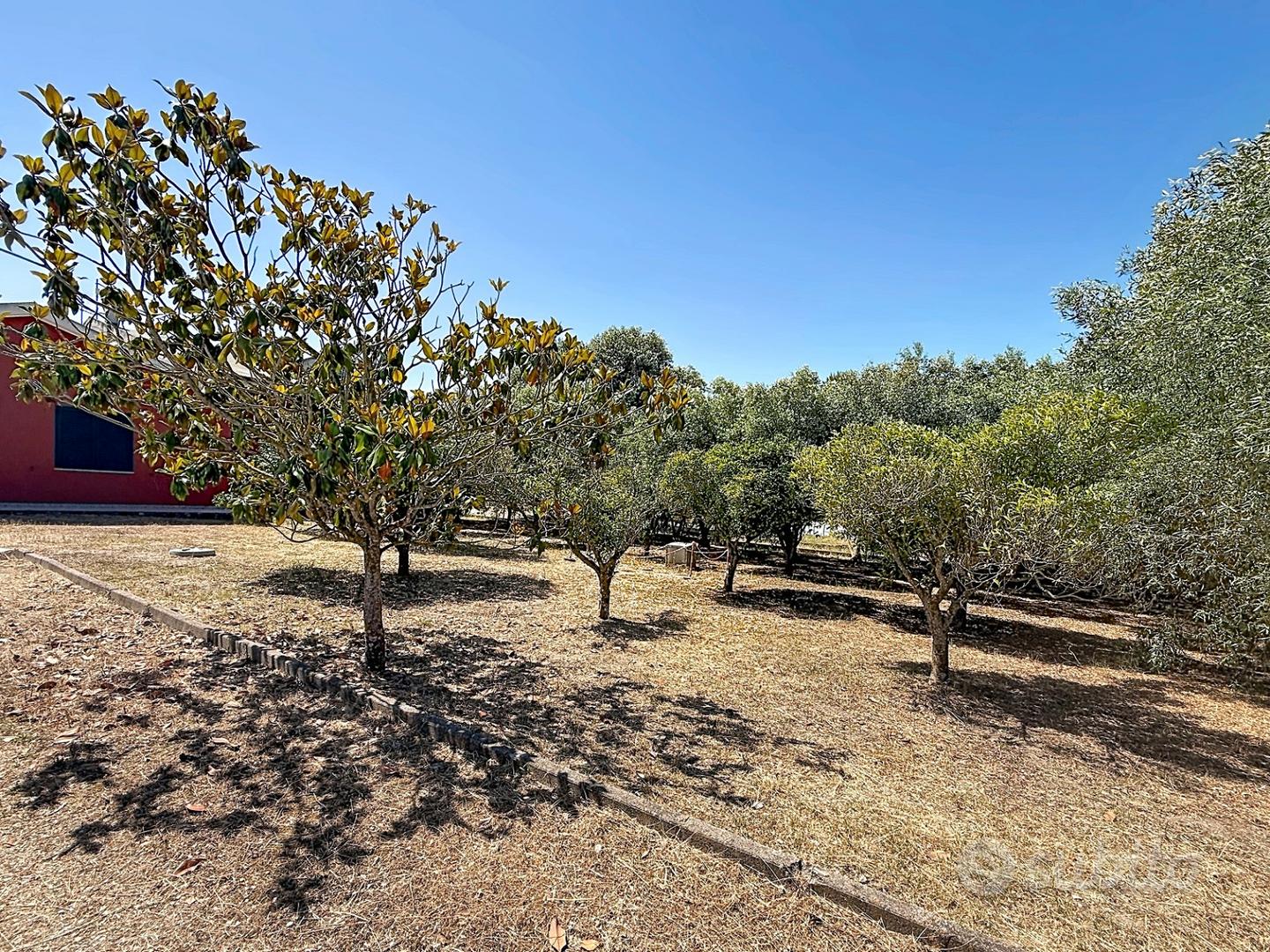 Villa indipendente con terreno - Vista 6