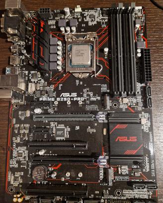 Scheda madre Asus + Intel I5 6600 + ddr4 8gb