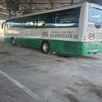 AUTOBUS IRIZAR SCANIA  K310  4X2