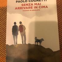 ‘Senza mai arrivare in cima ‘ di Paolo Cognetti