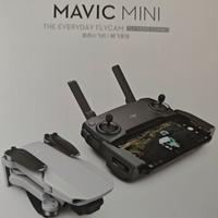 Drone DJI Mavic Mini. 4 K HD