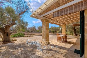 Villa immersa nel verde