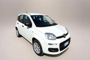 FIAT Panda 3ª serie - Panda 1.0 FireFly S&S Hybrid