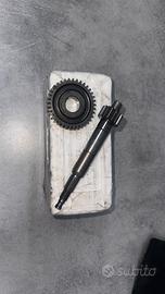 Rapporti pirmari 16/37 Piaggio zip sp