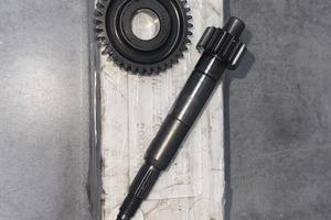 Rapporti pirmari 16/37 Piaggio zip sp