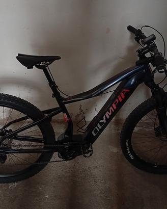 MTB e-bike 