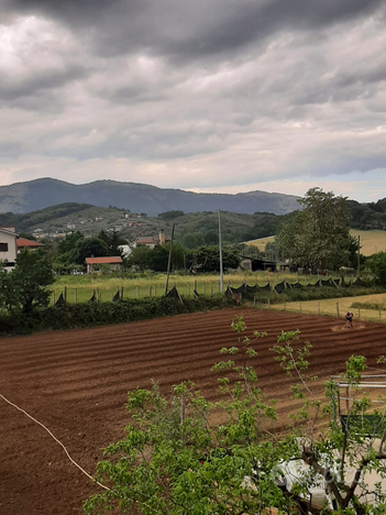 Terreno agricolo e edificabile