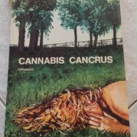 Cannabis cancrus