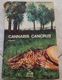 Cannabis cancrus