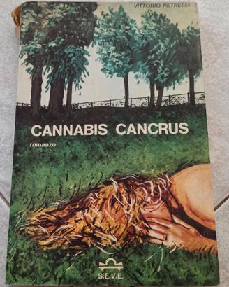 Cannabis cancrus