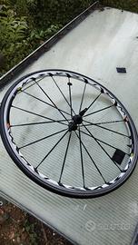 cerchio bici Mavic Ksyrium 622x13