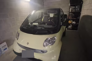 Smart 450