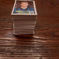 mancolista figurine calciatori panini 1993 94