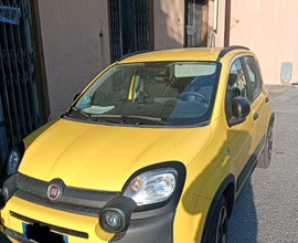 FIAT panda Hybrid city cross