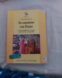 Il cammino con Dante