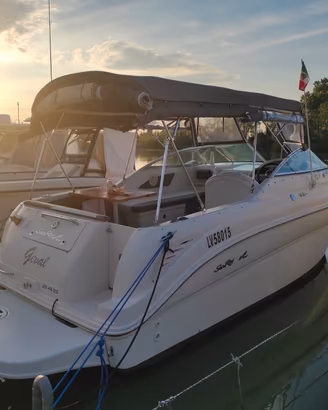 Sea ray 245 Weekender 