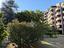 Immagine 11