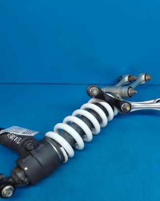 Mono-ammortizzatore post Triumph Tiger900 RallyPro