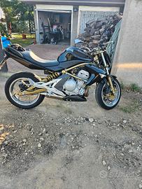 Kawasaki ER 6N - 2005