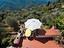 Immagine 28