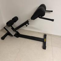 Technogym panca lower back