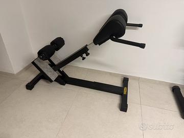 Technogym panca lower back