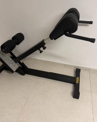 Technogym panca lower back