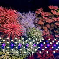 plafoniera acquario brite wrgb 60