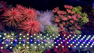 plafoniera acquario brite wrgb 60