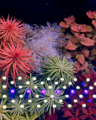 plafoniera acquario brite wrgb 60
