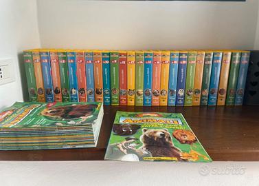 N 26  Vhs il magico mondo degli animali