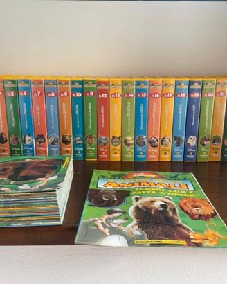 N 26  Vhs il magico mondo degli animali