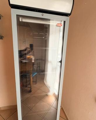 Frigorifero verticale professionale