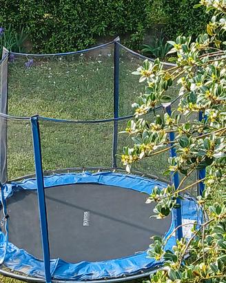 Tappeto elastico trampolino