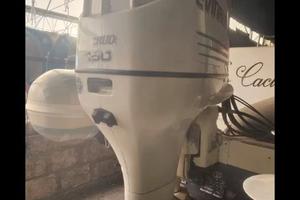 Evinruder fight ram 150 cv