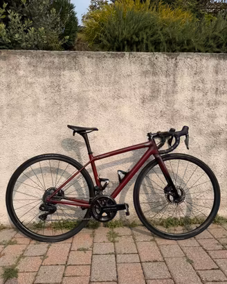 bici Sworks Aethos tg 49