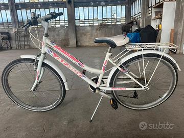 bicicletta 