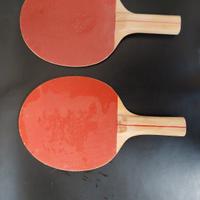 COPPIA RACCHETTE DA PING-PONG 