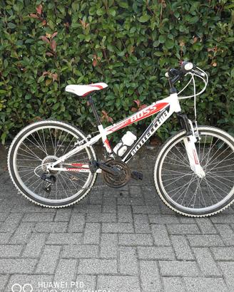  MTB Bottecchia 21