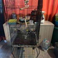 Voliera x pappagallo