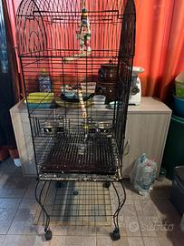 Voliera x pappagallo