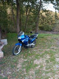 Honda Transalp 650 anno 2004