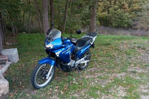 Honda Transalp 650 anno 2004